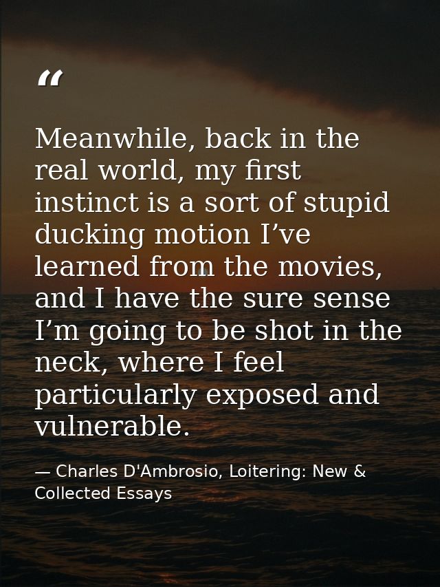 Meanwhile, back in the real world, my first instinct is a sort of stupid ducking motion I’ve learned from the movies, an — Charles D'Ambrosio, Loitering: New & Collected Essays