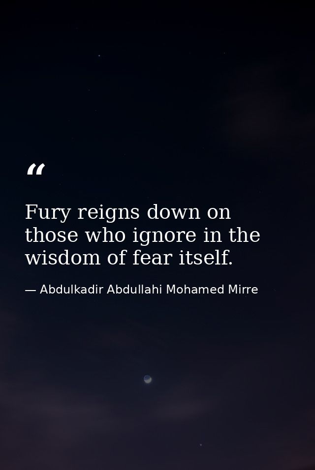 Fury reigns down on those who ignore in the wisdom of fear itself. — Abdulkadir Abdullahi Mohamed Mirre