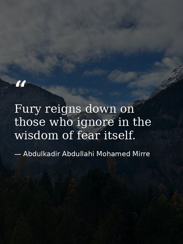 Fury reigns down on those who ignore in the wisdom of fear itself. — Abdulkadir Abdullahi Mohamed Mirre