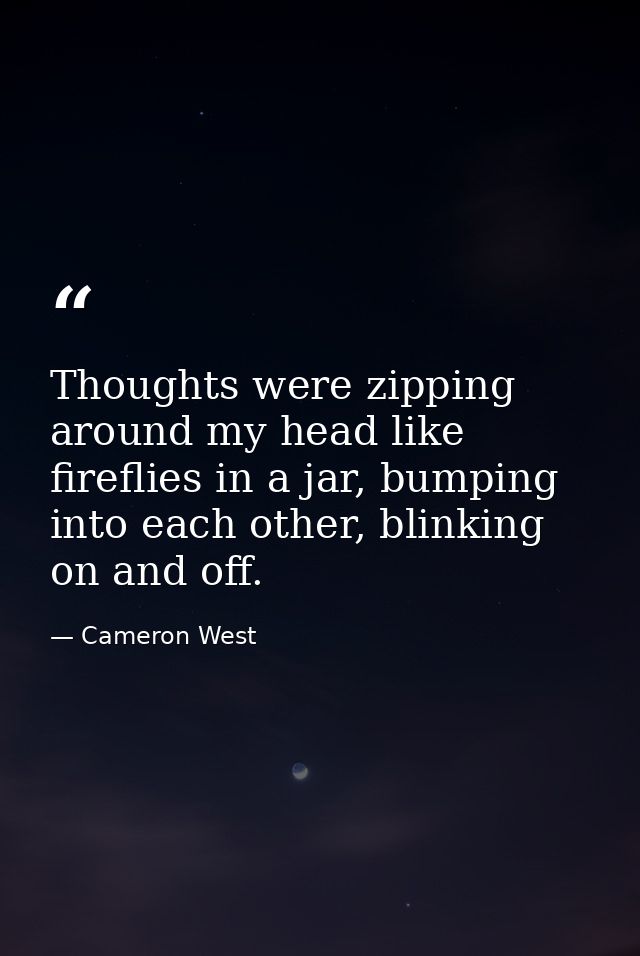 Thoughts were zipping around my head like fireflies in a jar, bumping into each other, blinking on and off. — Cameron West