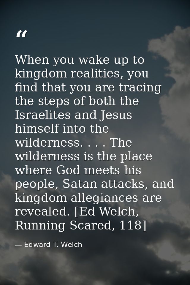 When you wake up to kingdom realities, you find that you are tracing the steps of both the Israelites and Jesus himself  — Edward T. Welch