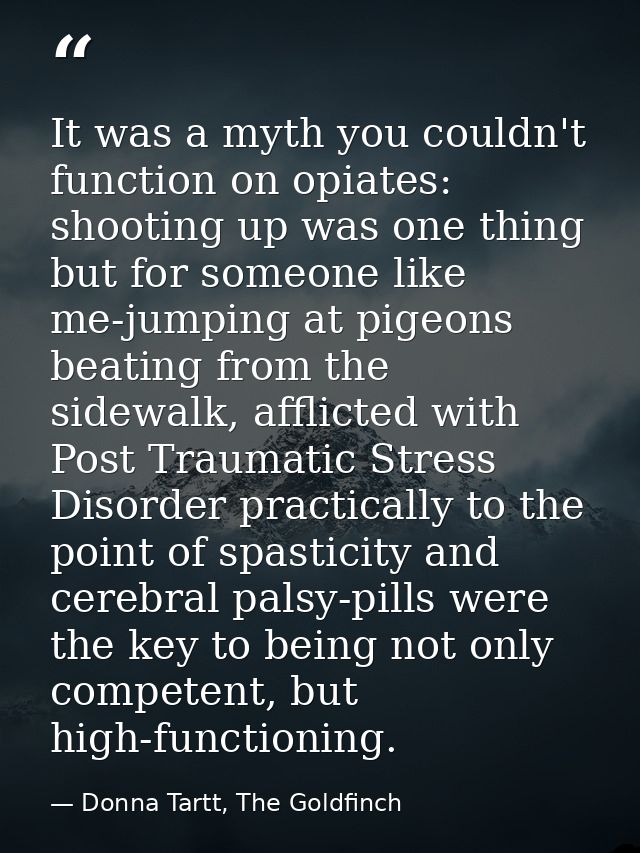 It was a myth you couldn't function on opiates: shooting up was one thing but for someone like me-jumping at pigeons bea — Donna Tartt, The Goldfinch