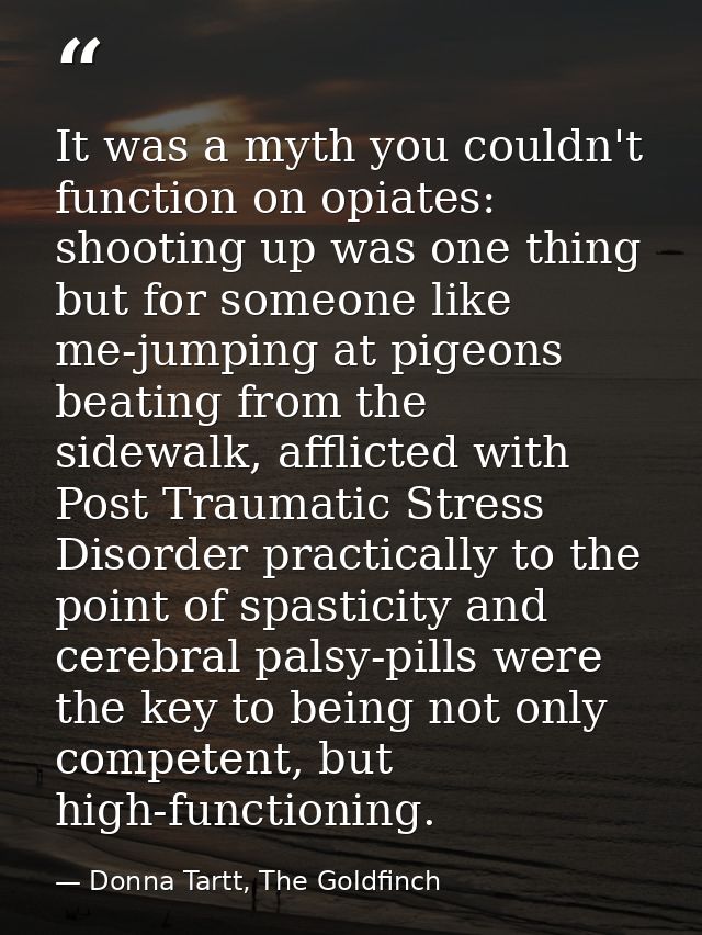 It was a myth you couldn't function on opiates: shooting up was one thing but for someone like me-jumping at pigeons bea — Donna Tartt, The Goldfinch