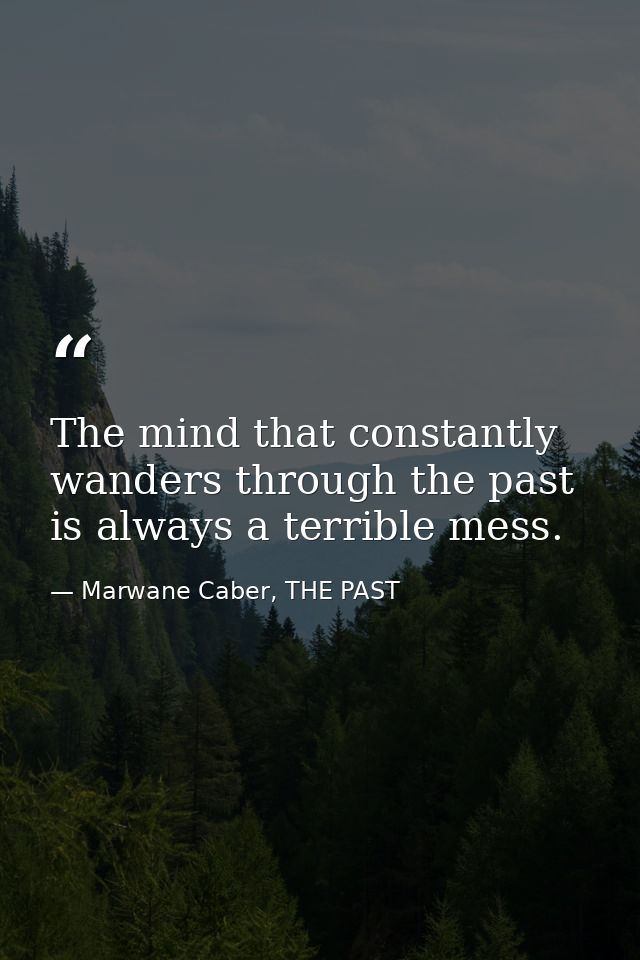 The mind that constantly wanders through the past is always a terrible mess. — Marwane Caber, THE PAST