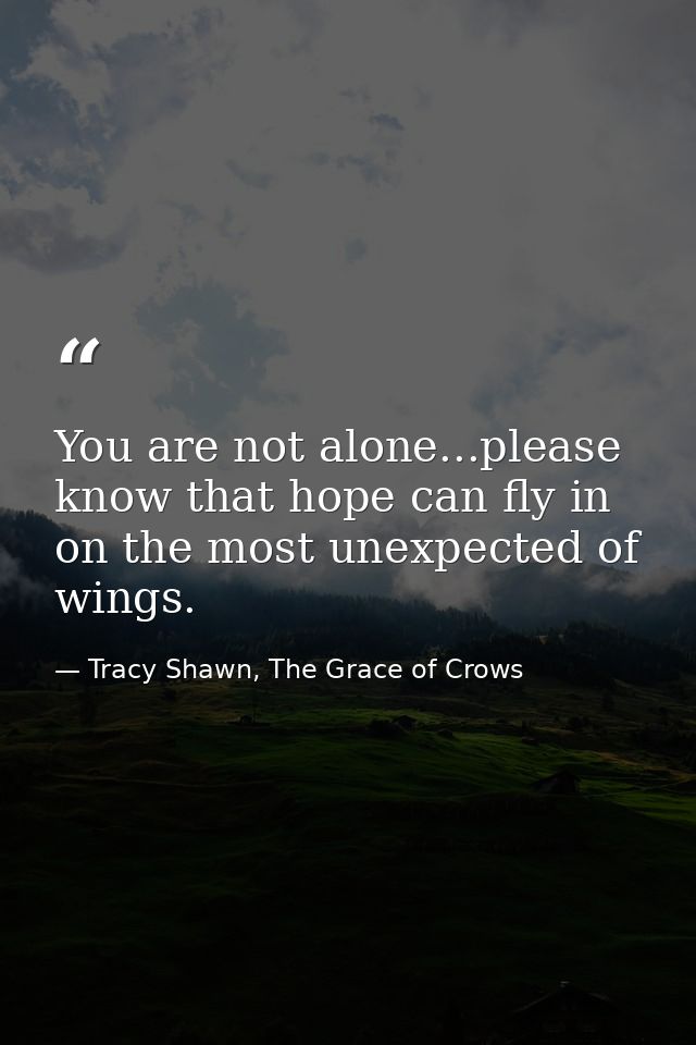 You are not alone...please know that hope can fly in on the most unexpected of wings. — Tracy Shawn, The Grace of Crows
