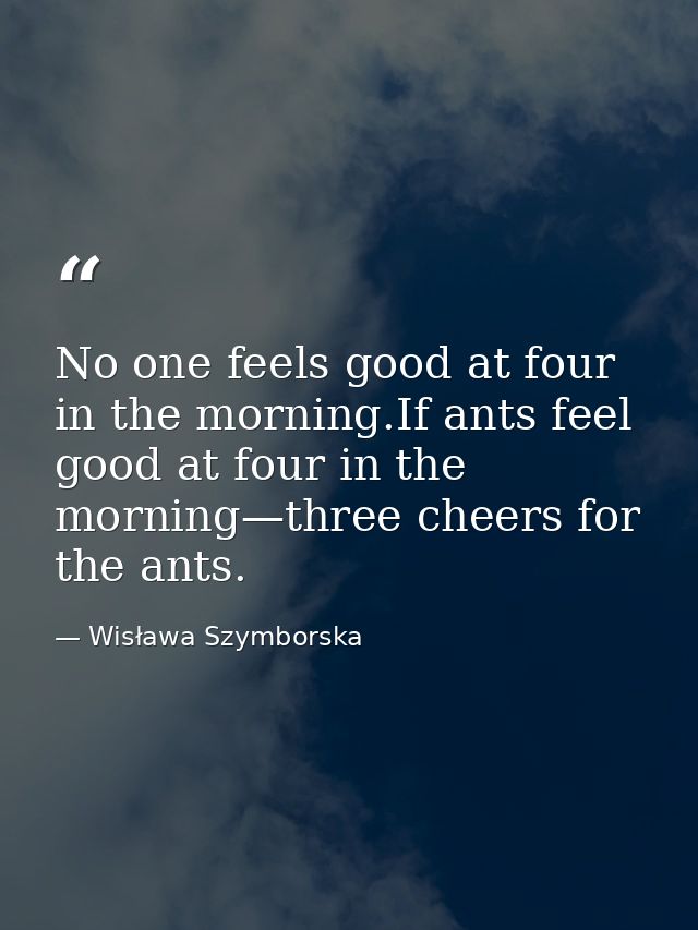 No one feels good at four in the morning.If ants feel good at four in the morning—three cheers for the ants. — Wisława Szymborska