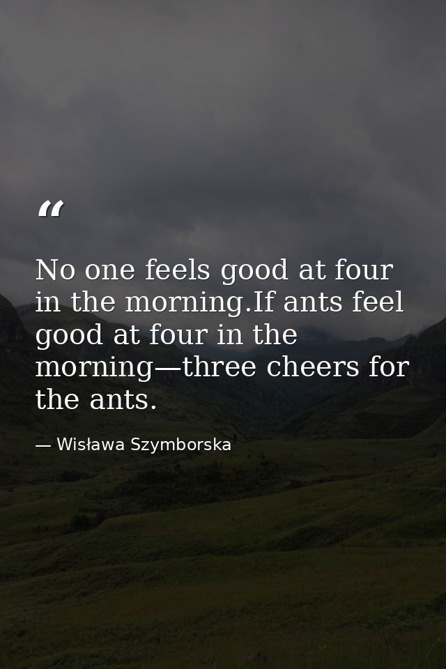 No one feels good at four in the morning.If ants feel good at four in the morning—three cheers for the ants. — Wisława Szymborska
