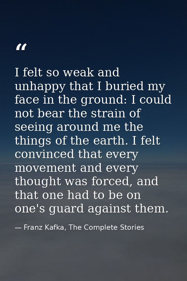 I felt so weak and unhappy that I buried my face in the ground: I could not bear the strain of seeing around me the thin — Franz Kafka, The Complete Stories