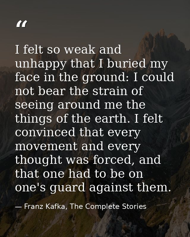 I felt so weak and unhappy that I buried my face in the ground: I could not bear the strain of seeing around me the thin — Franz Kafka, The Complete Stories
