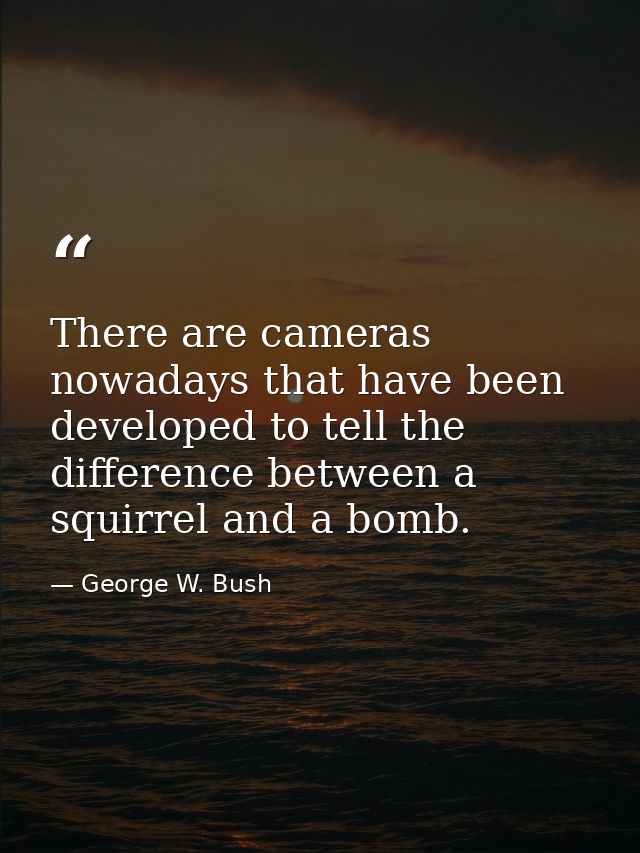 There are cameras nowadays that have been developed to tell the difference between a squirrel and a bomb. — George W. Bush