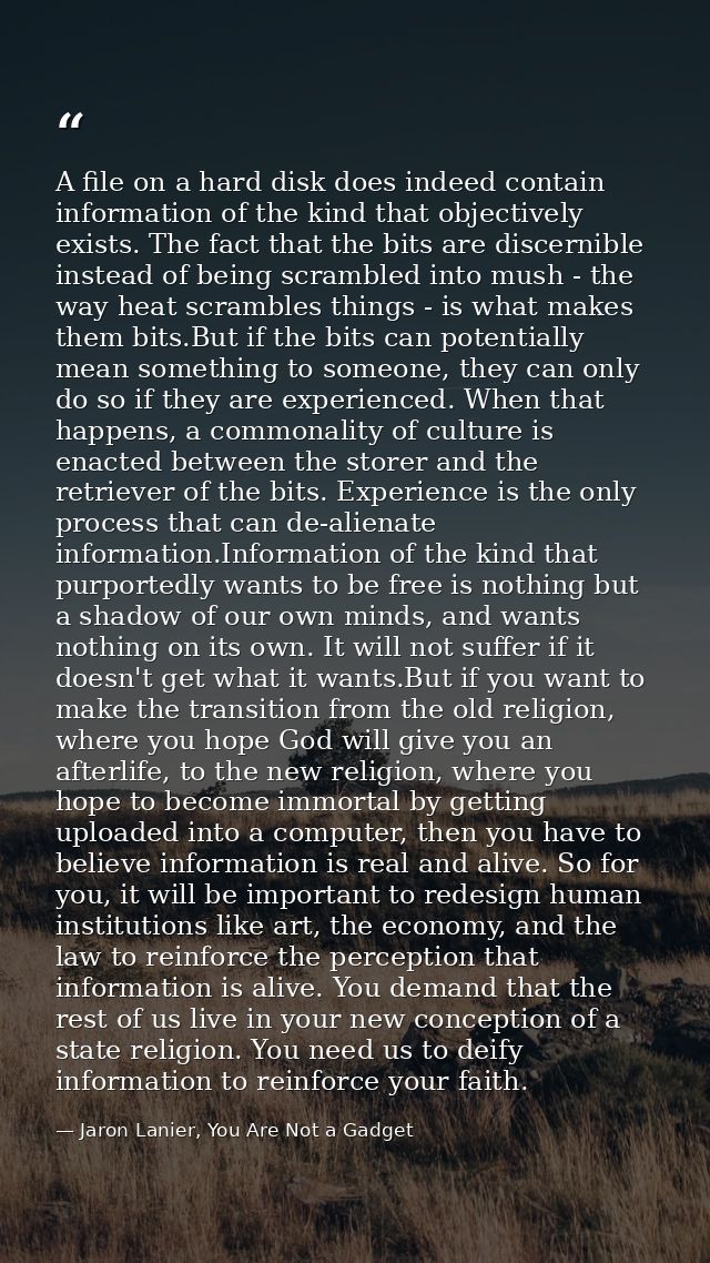 A file on a hard disk does indeed contain information of the kind that objectively exists. The fact that the bits are di — Jaron Lanier, You Are Not a Gadget