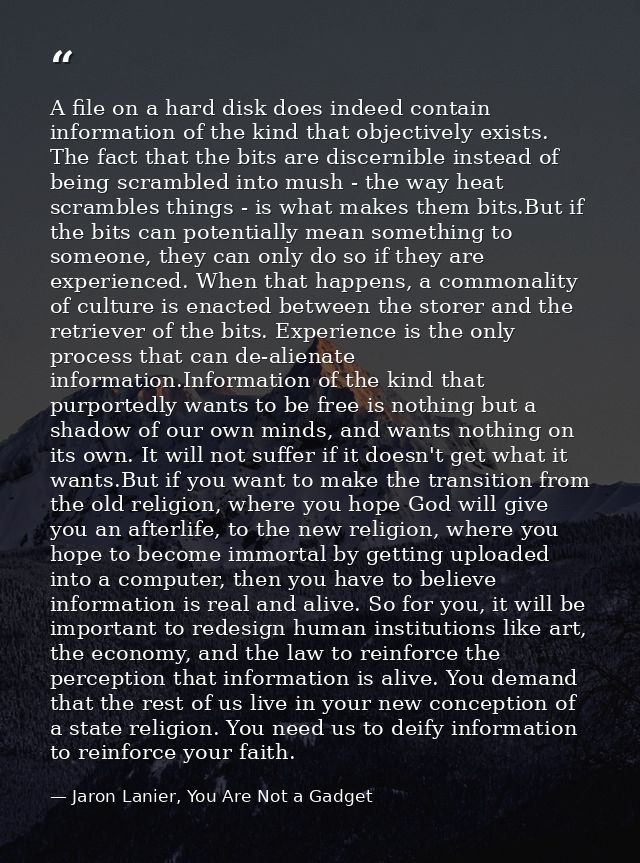 A file on a hard disk does indeed contain information of the kind that objectively exists. The fact that the bits are di — Jaron Lanier, You Are Not a Gadget