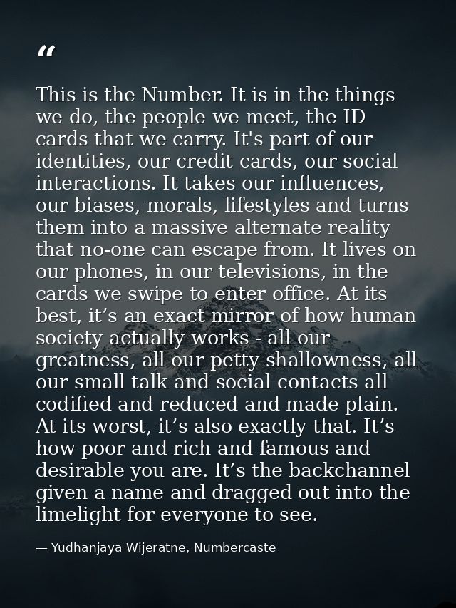 This is the Number. It is in the things we do, the people we meet, the ID cards that we carry. It's part of our identiti — Yudhanjaya Wijeratne, Numbercaste