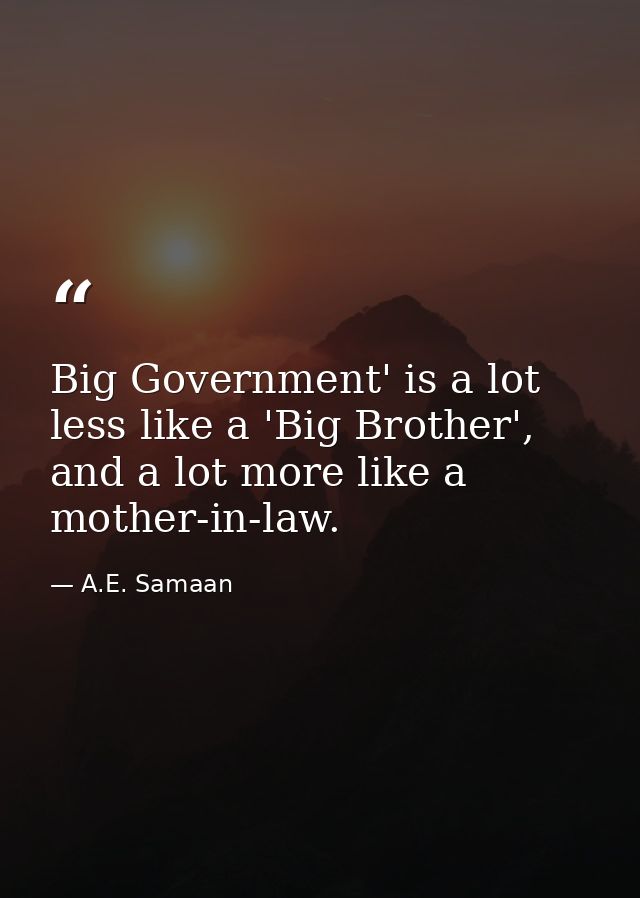 Big Government' is a lot less like a 'Big Brother', and a lot more like a mother-in-law. — A.E. Samaan