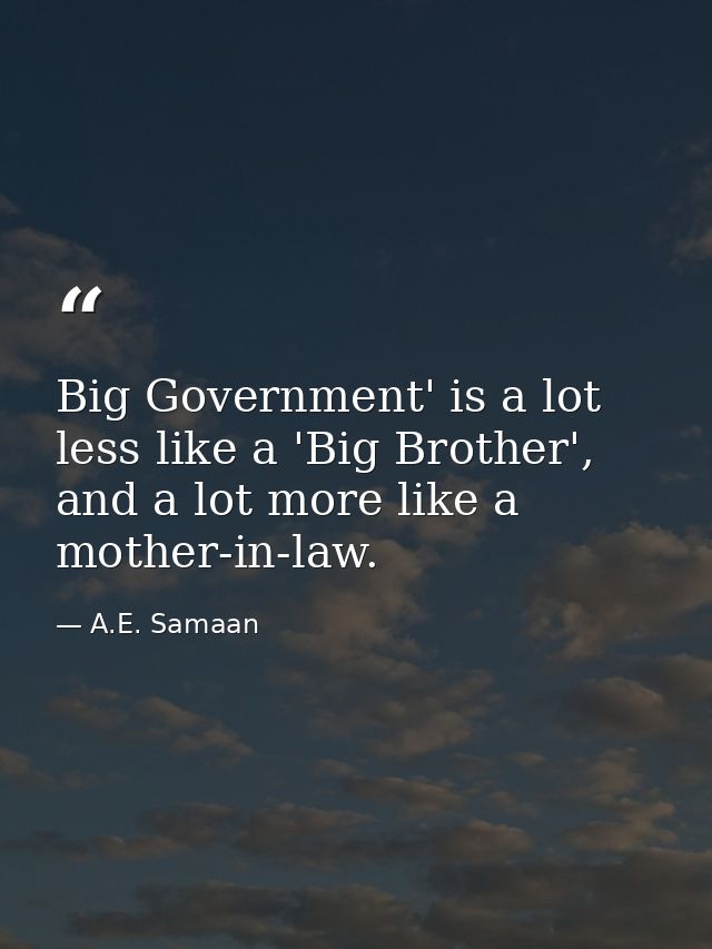 Big Government' is a lot less like a 'Big Brother', and a lot more like a mother-in-law. — A.E. Samaan