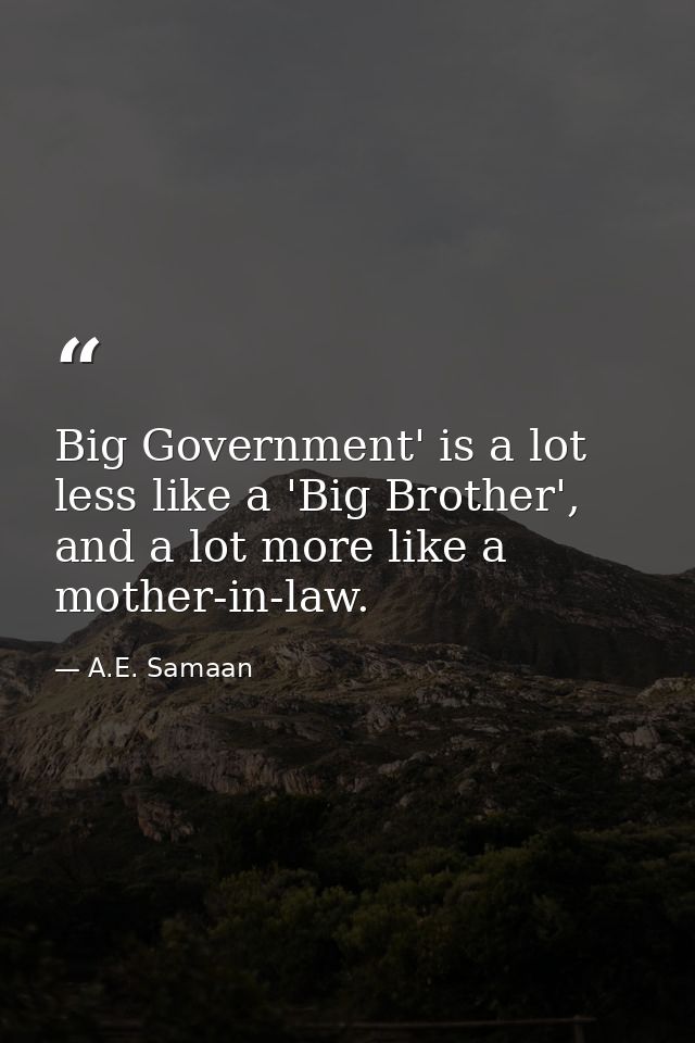 Big Government' is a lot less like a 'Big Brother', and a lot more like a mother-in-law. — A.E. Samaan