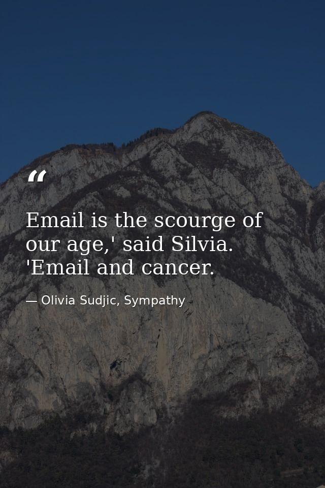 Email is the scourge of our age,' said Silvia. 'Email and cancer. — Olivia Sudjic, Sympathy