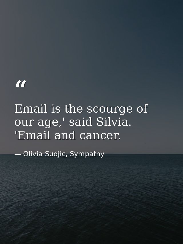 Email is the scourge of our age,' said Silvia. 'Email and cancer. — Olivia Sudjic, Sympathy