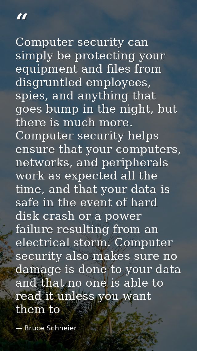 Computer security can simply be protecting your equipment and files from disgruntled employees, spies, and anything that — Bruce Schneier