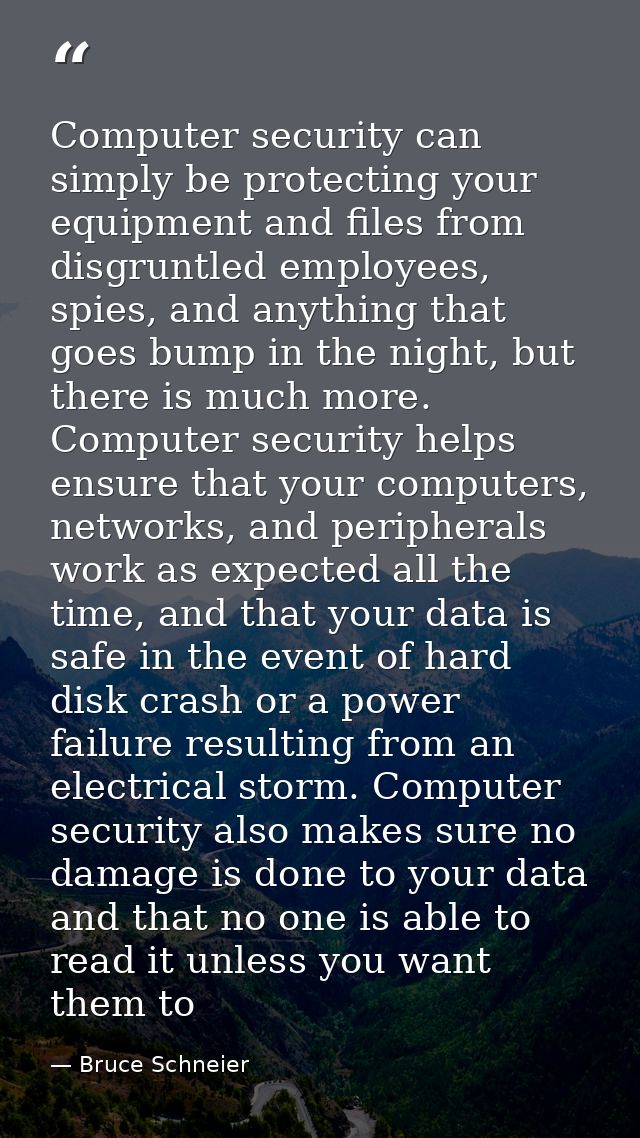 Computer security can simply be protecting your equipment and files from disgruntled employees, spies, and anything that — Bruce Schneier
