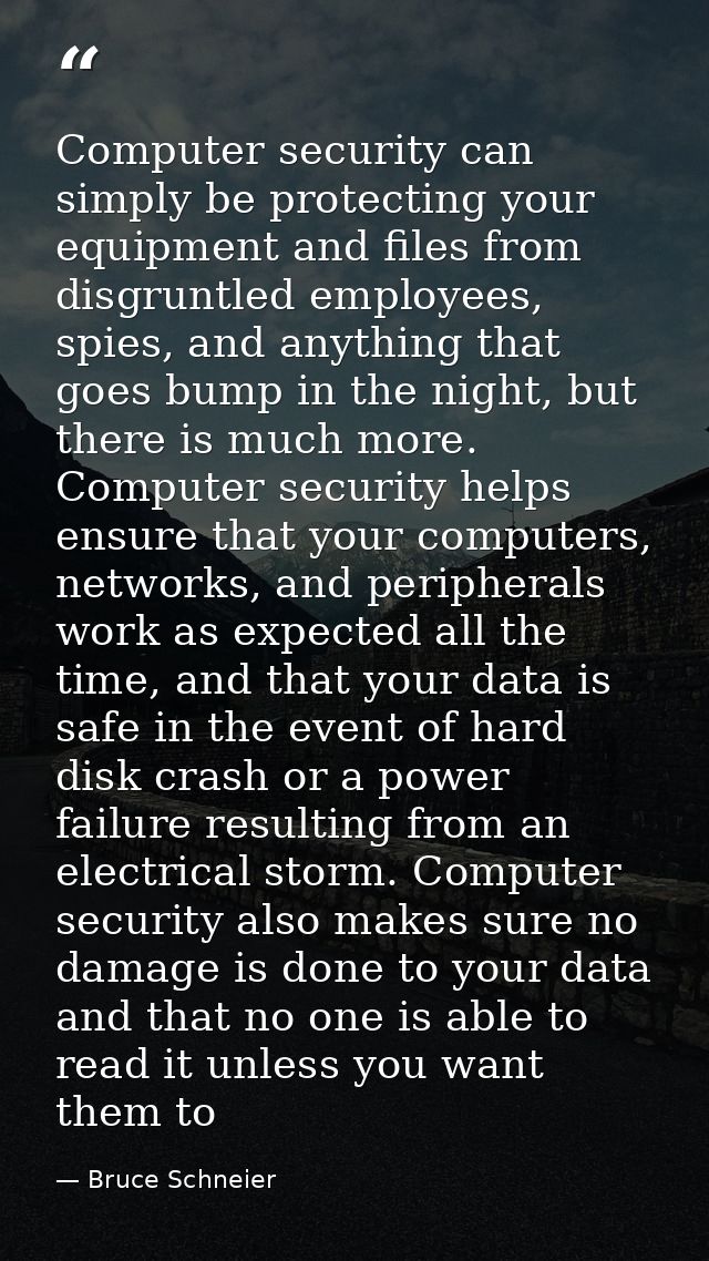Computer security can simply be protecting your equipment and files from disgruntled employees, spies, and anything that — Bruce Schneier