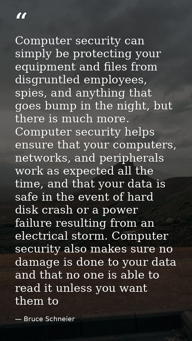 Computer security can simply be protecting your equipment and files from disgruntled employees, spies, and anything that — Bruce Schneier