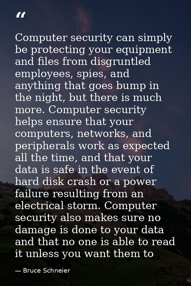 Computer security can simply be protecting your equipment and files from disgruntled employees, spies, and anything that — Bruce Schneier