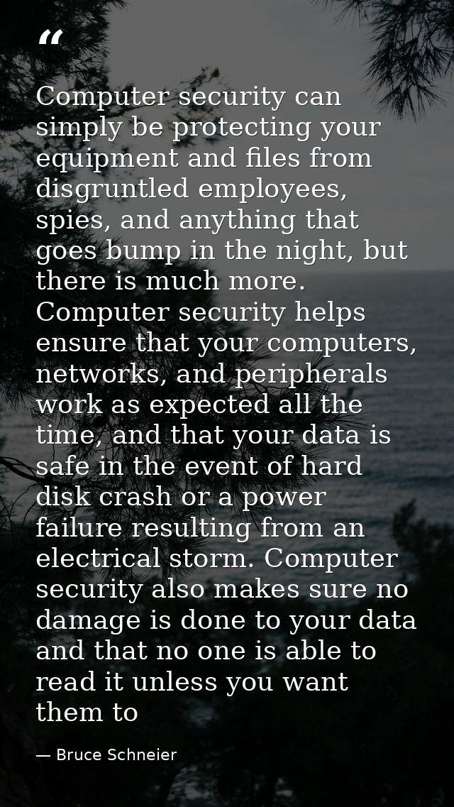 Computer security can simply be protecting your equipment and files from disgruntled employees, spies, and anything that — Bruce Schneier