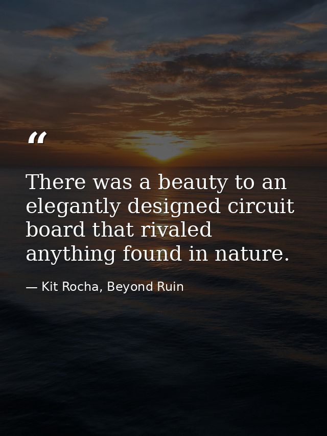 There was a beauty to an elegantly designed circuit board that rivaled anything found in nature. — Kit Rocha, Beyond Ruin