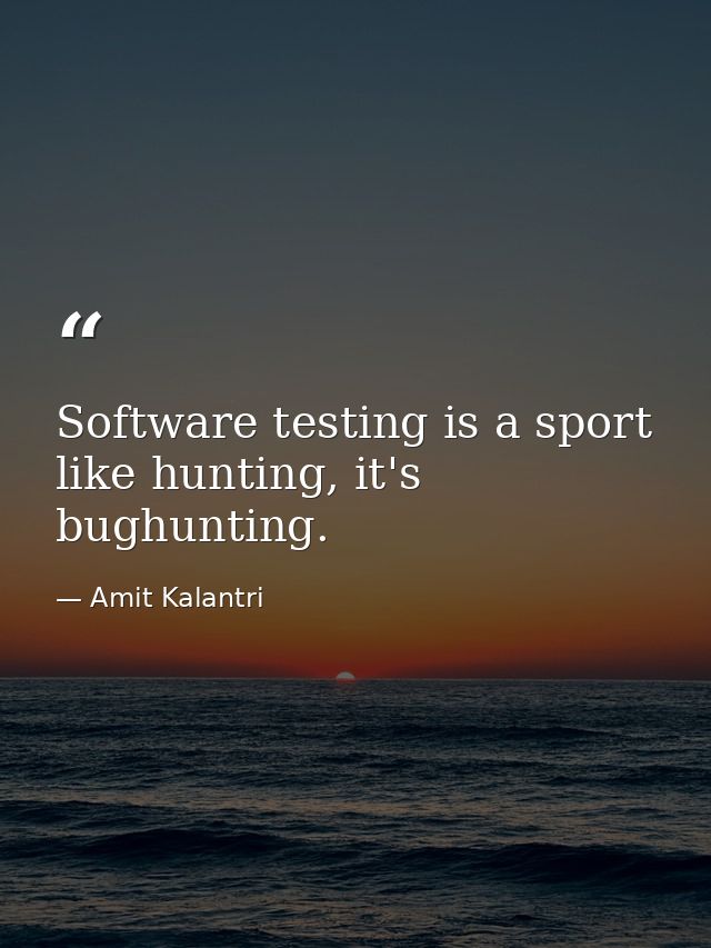 Software testing is a sport like hunting, it's bughunting. — Amit Kalantri