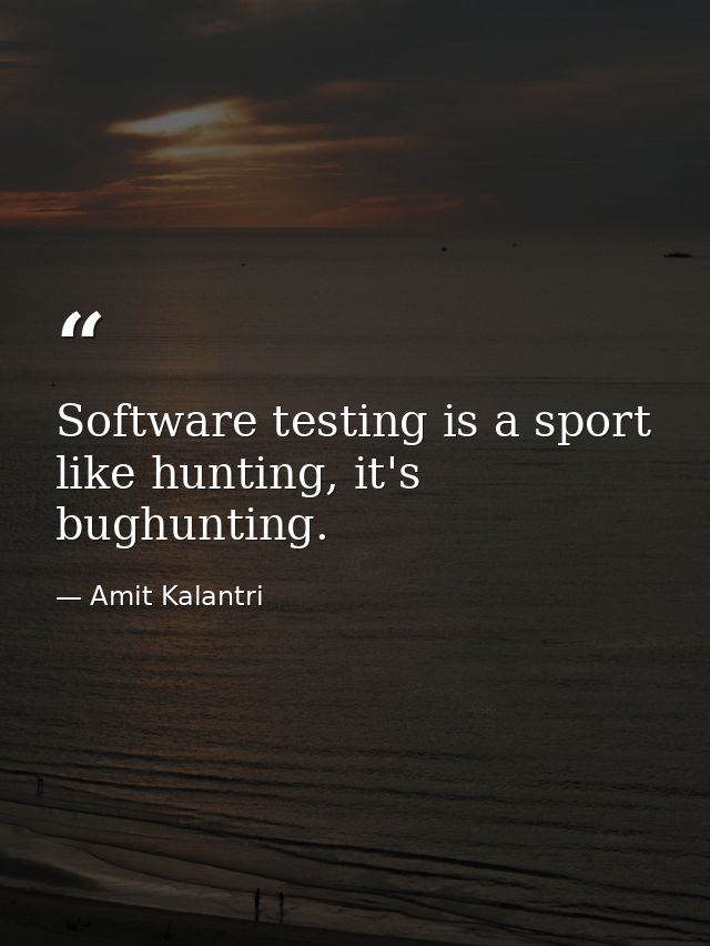 Software testing is a sport like hunting, it's bughunting. — Amit Kalantri