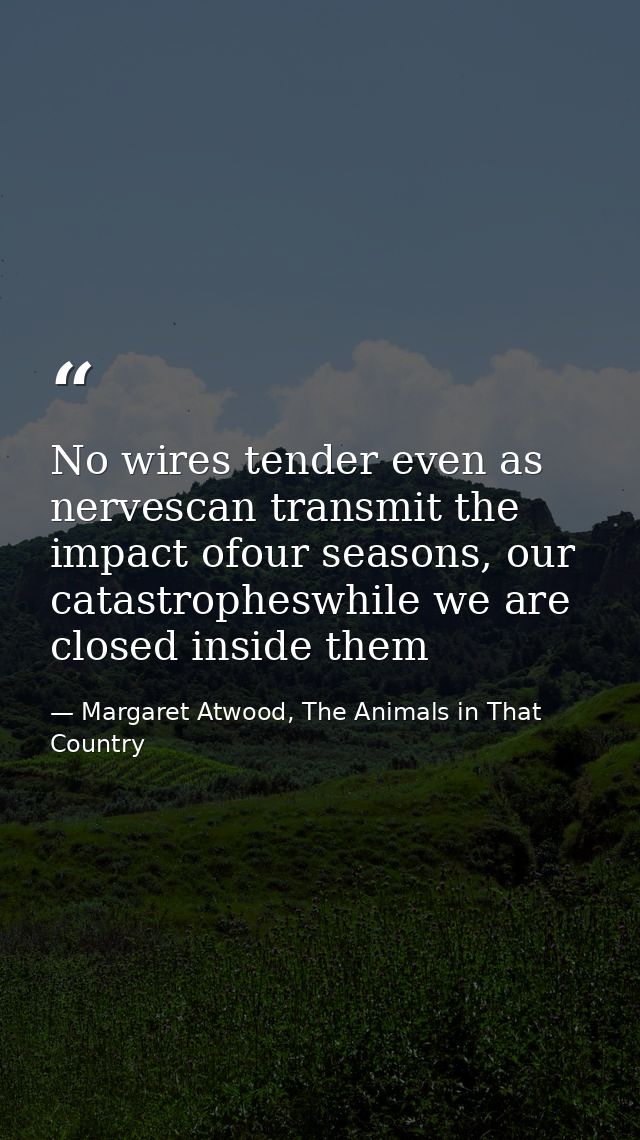 No wires tender even as nervescan transmit the impact ofour seasons, our catastropheswhile we are closed inside them — Margaret Atwood, The Animals in That Country