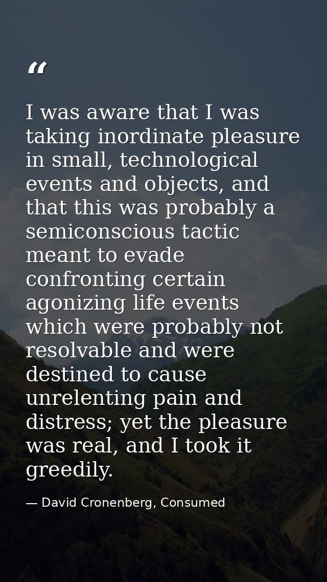 I was aware that I was taking inordinate pleasure in small, technological events and objects, and that this was probably — David Cronenberg, Consumed