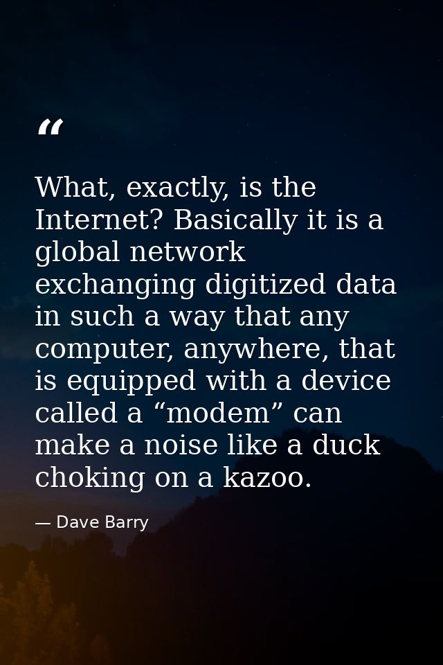 What, exactly, is the Internet? Basically it is a global network exchanging digitized data in such a way that any comput — Dave Barry