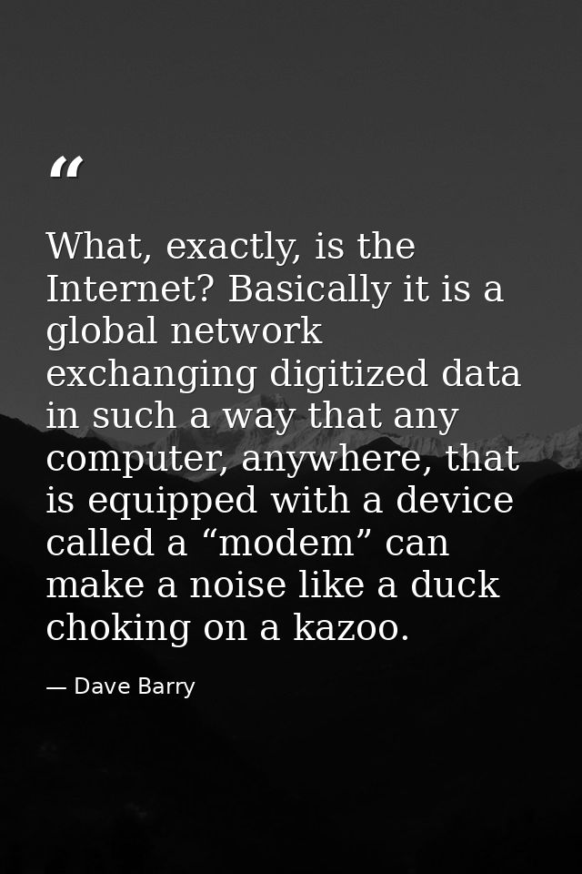 What, exactly, is the Internet? Basically it is a global network exchanging digitized data in such a way that any comput — Dave Barry
