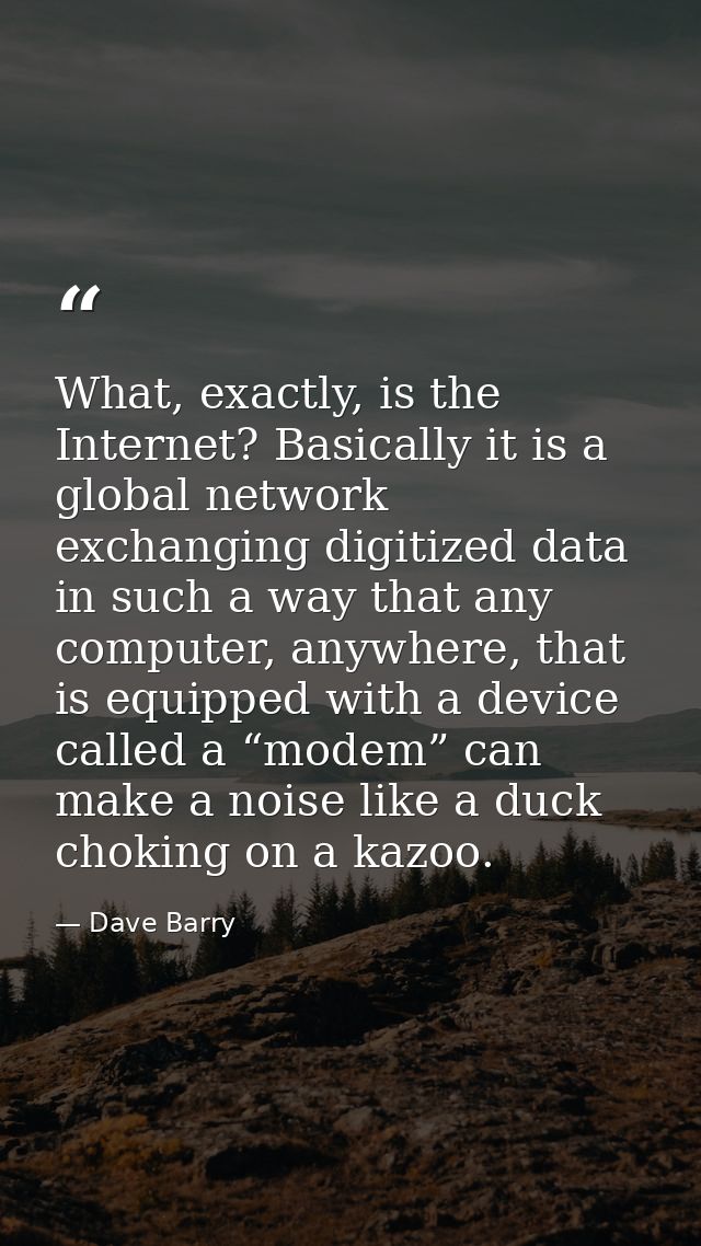 What, exactly, is the Internet? Basically it is a global network exchanging digitized data in such a way that any comput — Dave Barry