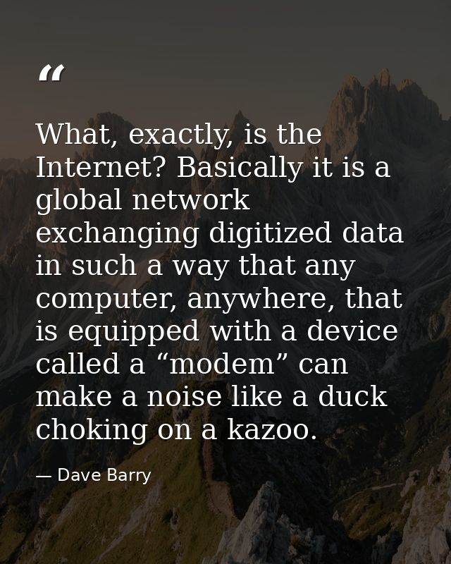 What, exactly, is the Internet? Basically it is a global network exchanging digitized data in such a way that any comput — Dave Barry