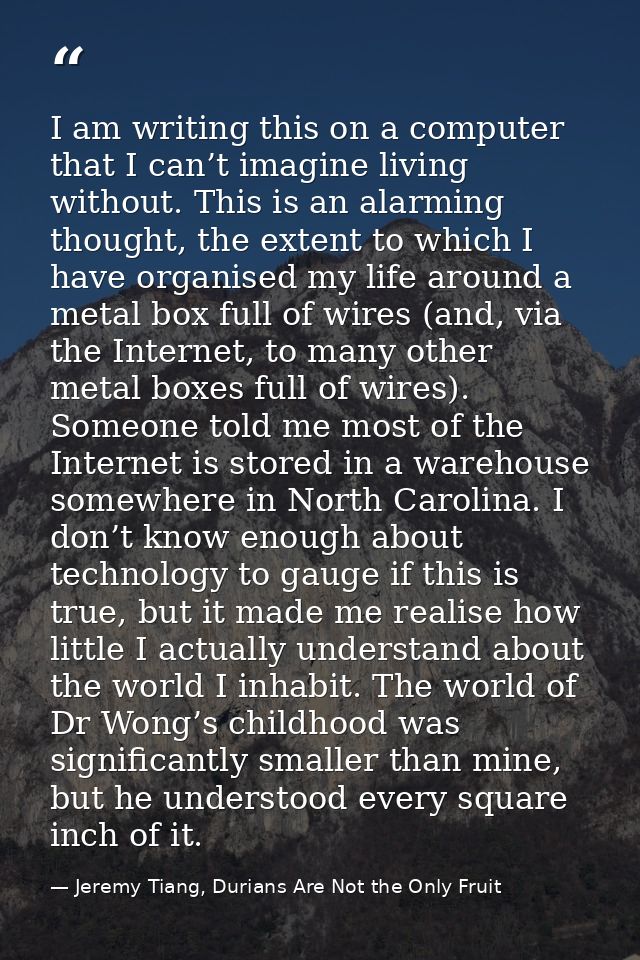 I am writing this on a computer that I can’t imagine living without. This is an alarming thought, the extent to which I  — Jeremy Tiang, Durians Are Not the Only Fruit