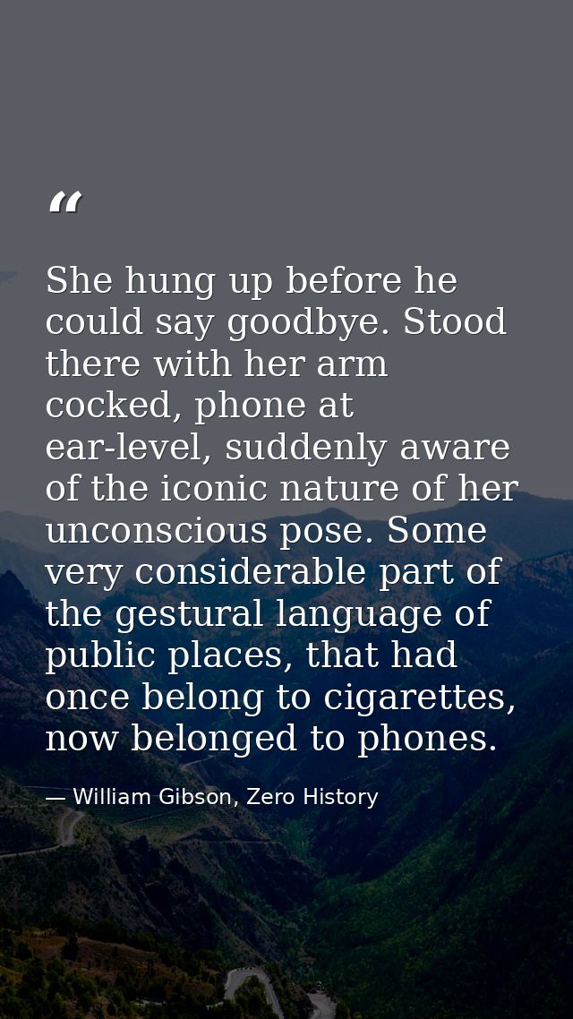 She hung up before he could say goodbye. Stood there with her arm cocked, phone at ear-level, suddenly aware of the icon — William Gibson, Zero History