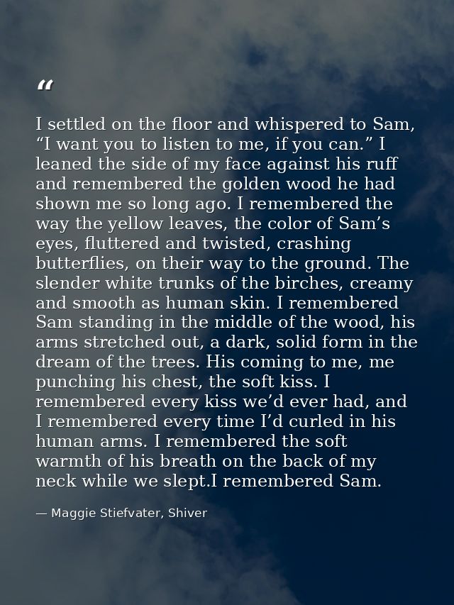 I settled on the floor and whispered to Sam, “I want you to listen to me, if you can.” I leaned the side of my face agai — Maggie Stiefvater, Shiver