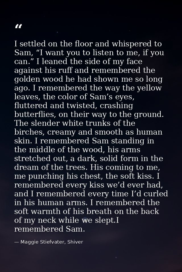 I settled on the floor and whispered to Sam, “I want you to listen to me, if you can.” I leaned the side of my face agai — Maggie Stiefvater, Shiver