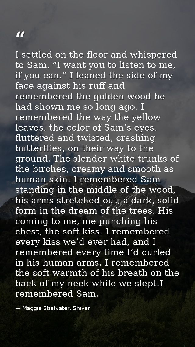 I settled on the floor and whispered to Sam, “I want you to listen to me, if you can.” I leaned the side of my face agai — Maggie Stiefvater, Shiver