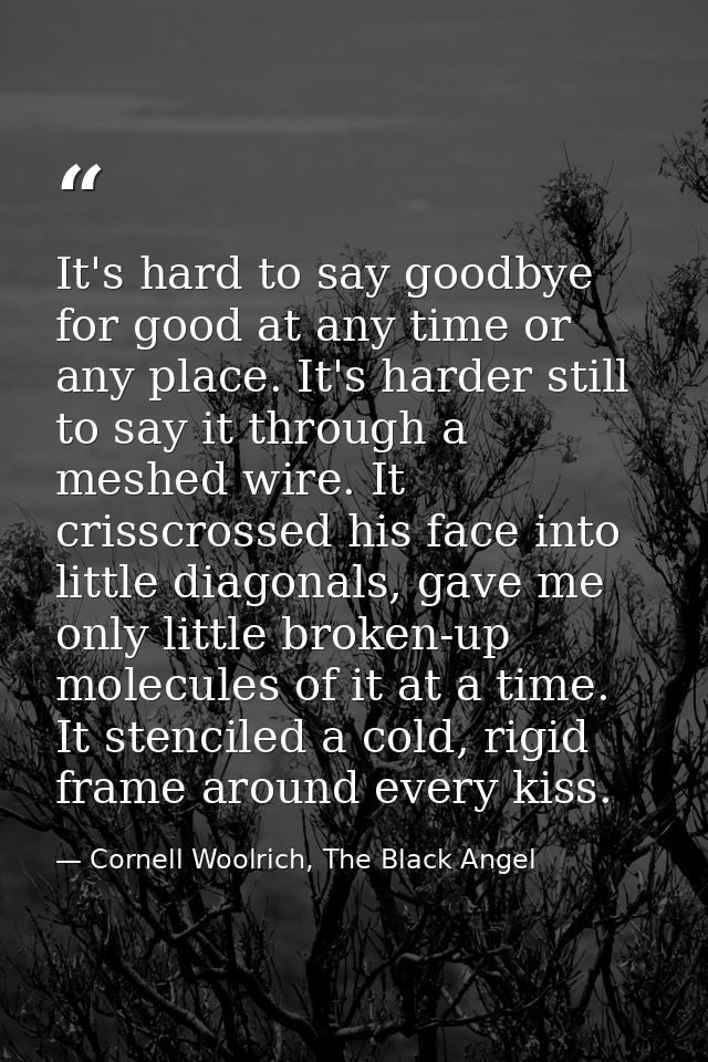 It's hard to say goodbye for good at any time or any place. It's harder still to say it through a meshed wire. It crissc — Cornell Woolrich, The Black Angel