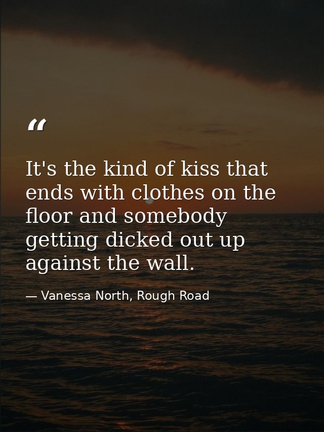 It's the kind of kiss that ends with clothes on the floor and somebody getting dicked out up against the wall. — Vanessa North, Rough Road