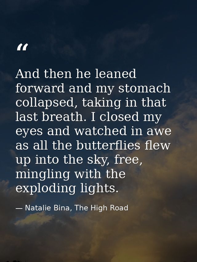And then he leaned forward and my stomach collapsed, taking in that last breath. I closed my eyes and watched in awe as  — Natalie Bina, The High Road