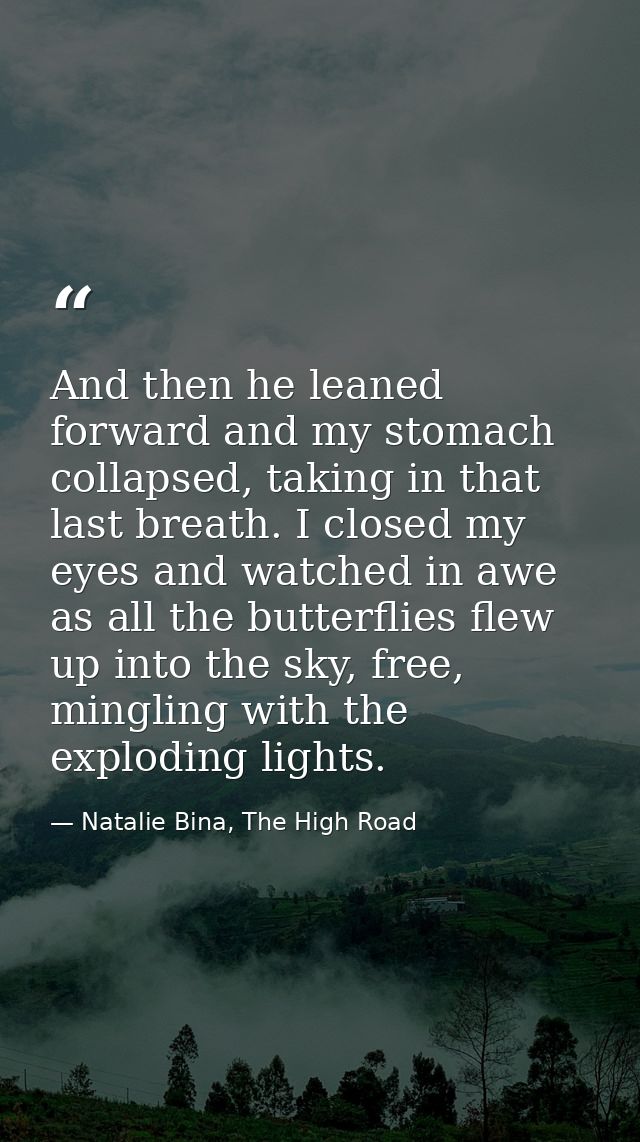And then he leaned forward and my stomach collapsed, taking in that last breath. I closed my eyes and watched in awe as  — Natalie Bina, The High Road