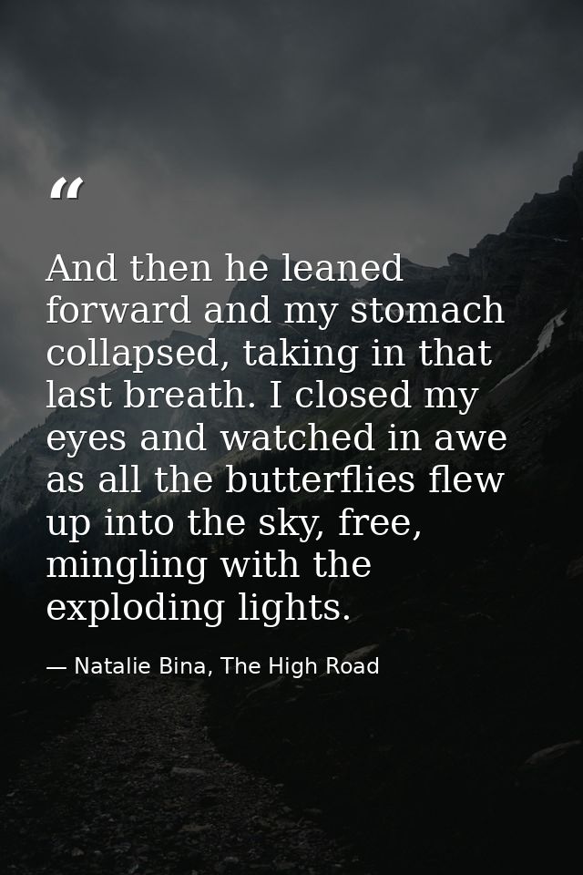 And then he leaned forward and my stomach collapsed, taking in that last breath. I closed my eyes and watched in awe as  — Natalie Bina, The High Road