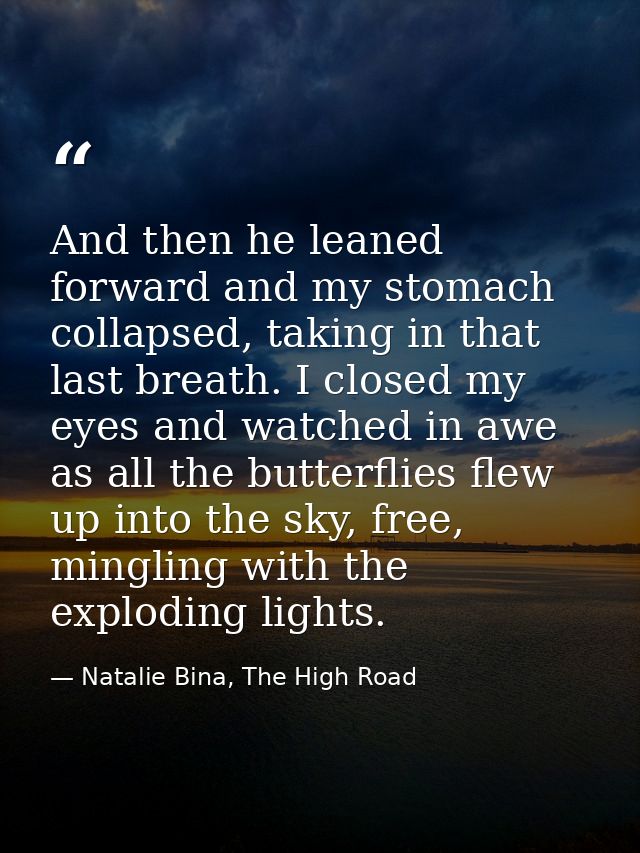 And then he leaned forward and my stomach collapsed, taking in that last breath. I closed my eyes and watched in awe as  — Natalie Bina, The High Road