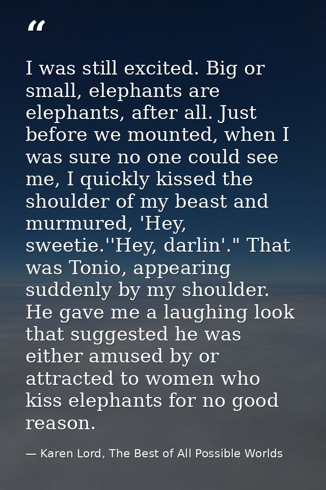 I was still excited. Big or small, elephants are elephants, after all. Just before we mounted, when I was sure no one co — Karen Lord, The Best of All Possible Worlds
