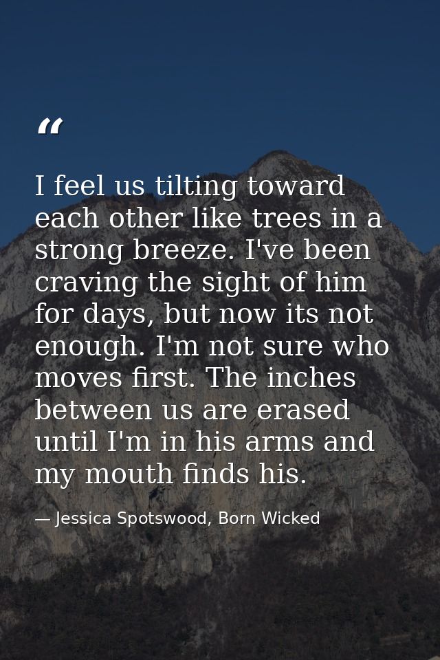 I feel us tilting toward each other like trees in a strong breeze. I've been craving the sight of him for days, but now  — Jessica Spotswood, Born Wicked